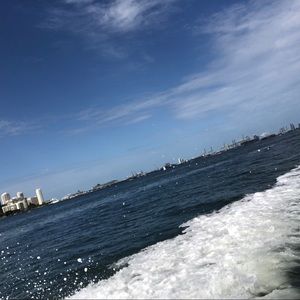 Meet your Posher, Lexi